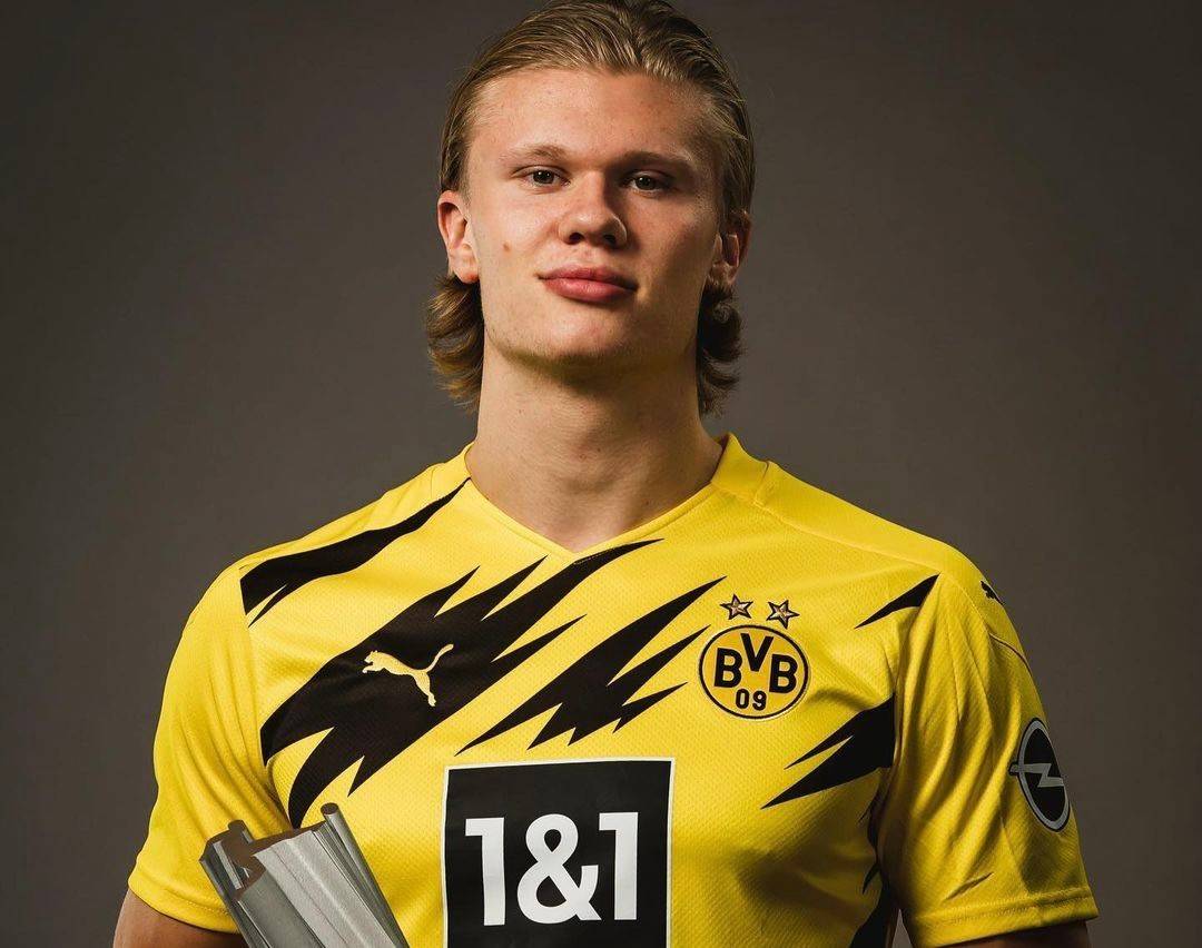 新教頭瑞迪 新教頭瑞迪